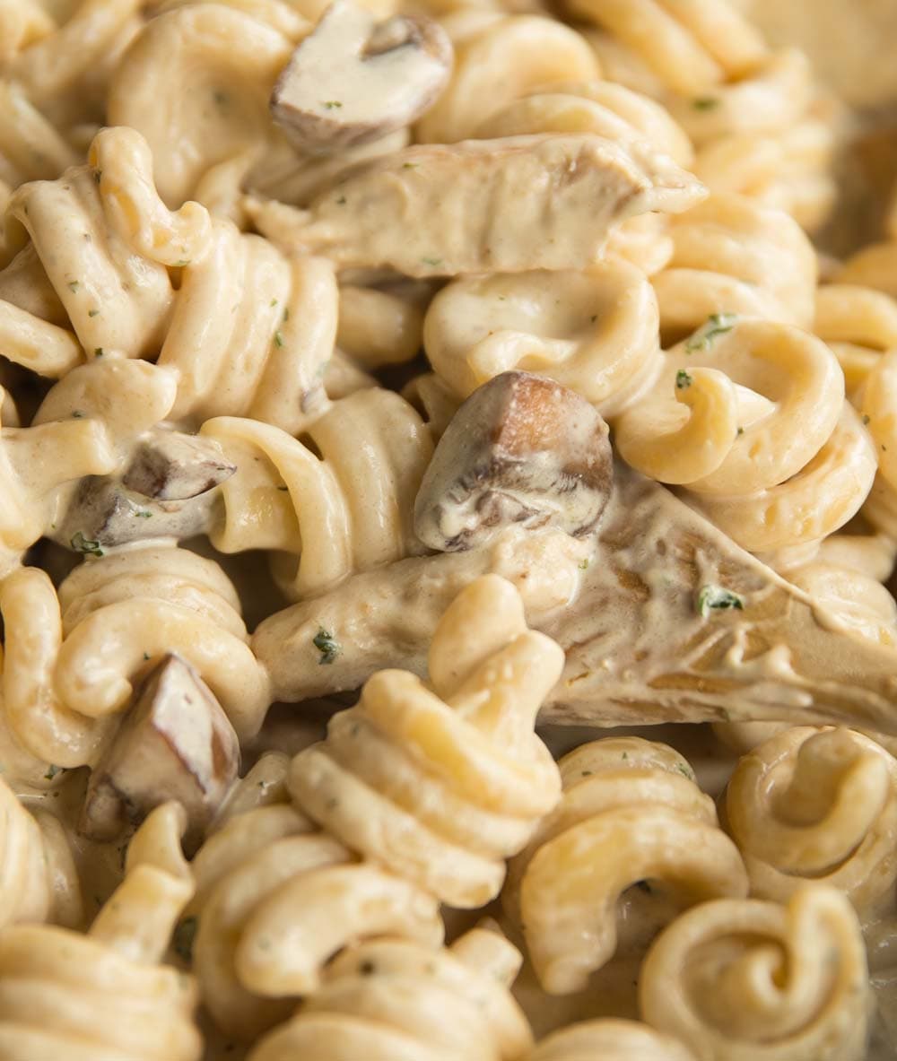 Creamy Chicken and Mushroom Pasta with White Wine and Parmesan